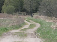 2016-05-08 12h27m15 - Bosweg - Gerda van der Meer